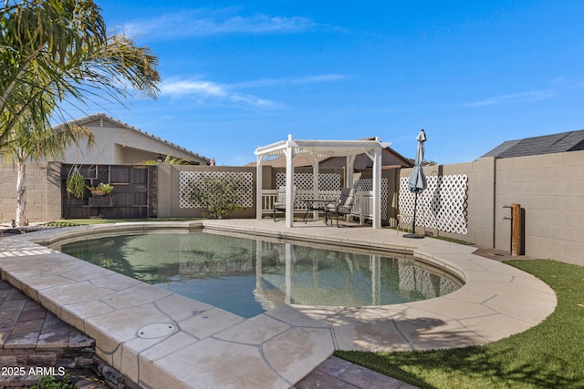 view of pool featuring a pergola and a patio