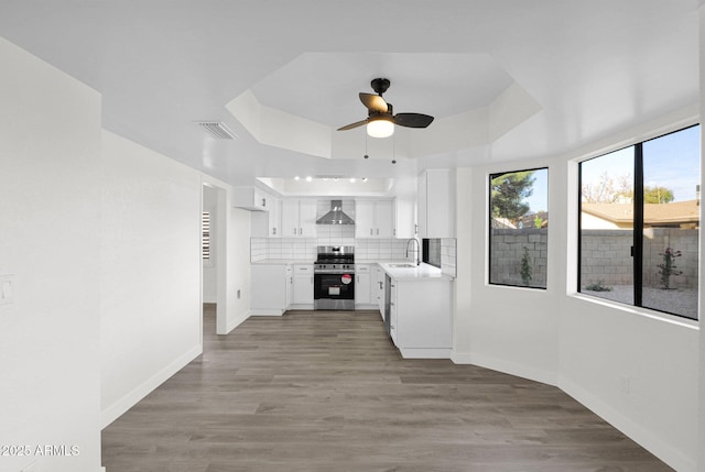 kitchen featuring backsplash, a raised ceiling, sink, stainless steel range oven, and white cabinetry