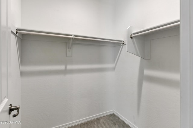 751 W Flintlock Way, Chandler, AZ 85286 - walk in closet with carpet