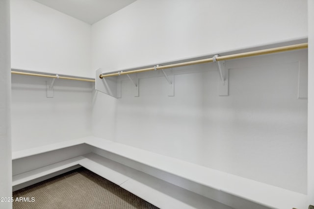 751 W Flintlock Way, Chandler, AZ 85286 - view of spacious closet