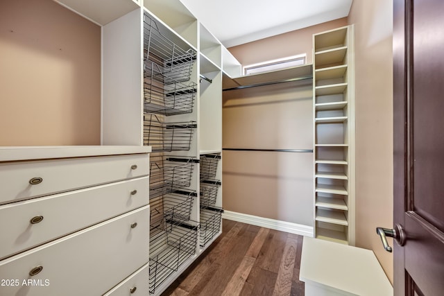 1435 E Rancho Dr, Phoenix, AZ 85014 - spacious closet with dark wood-style flooring