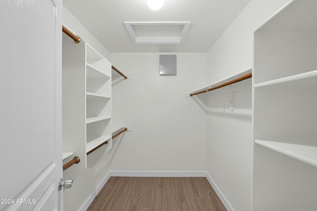 spacious closet with wood-type flooring