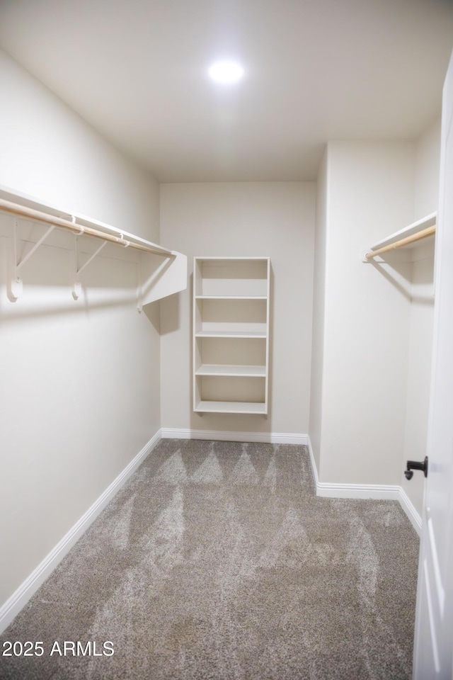 walk in closet featuring carpet flooring