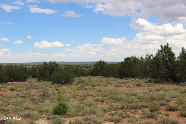 view of local wilderness with a rural view