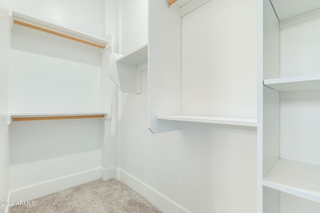 spacious closet featuring carpet flooring