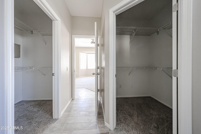 spacious closet with carpet floors