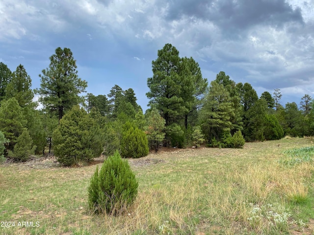 2026 State Route 277 Unit C, Overgaard AZ, 85933 land for sale