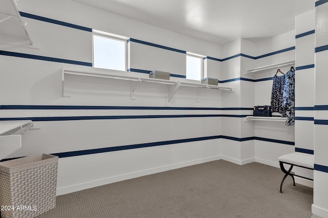 spacious closet with light colored carpet