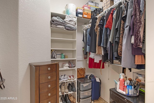 11360 E Keats Ave Unit 20, Mesa, AZ 85209 - view of spacious closet