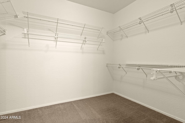 spacious closet with carpet flooring