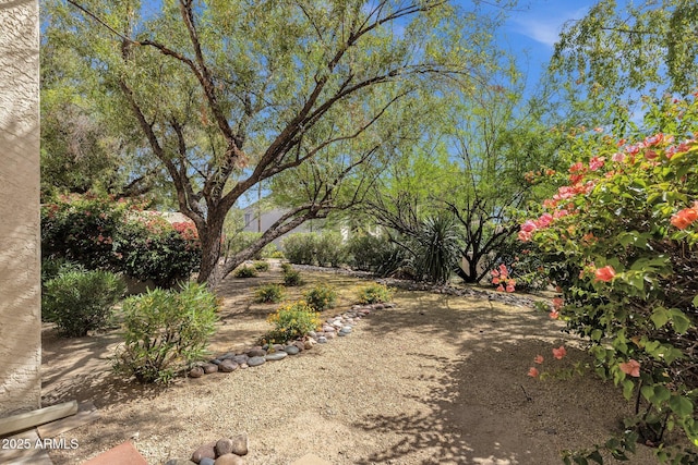 7101 W Beardsley Rd Unit 1502, Glendale, AZ 85308 - view of yard