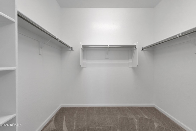 walk in closet with carpet