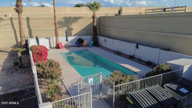 view of pool featuring a patio