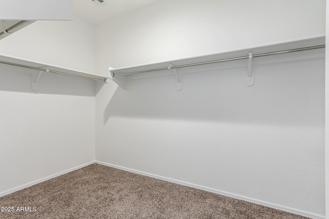28259 N Chalcocite St, San Tan Valley, AZ 85143 - spacious closet featuring carpet flooring