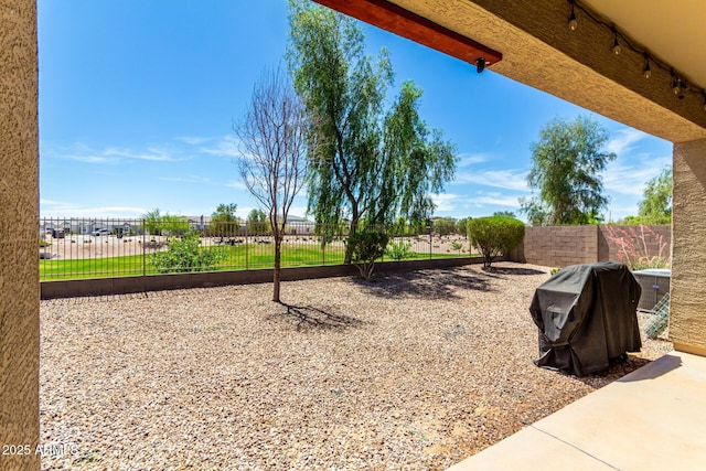 28259 N Chalcocite St, San Tan Valley, AZ 85143 - view of yard