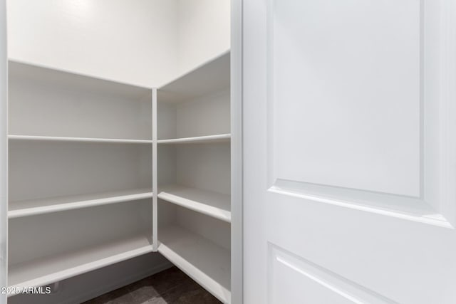 28259 N Chalcocite St, San Tan Valley, AZ 85143 - view of storage area