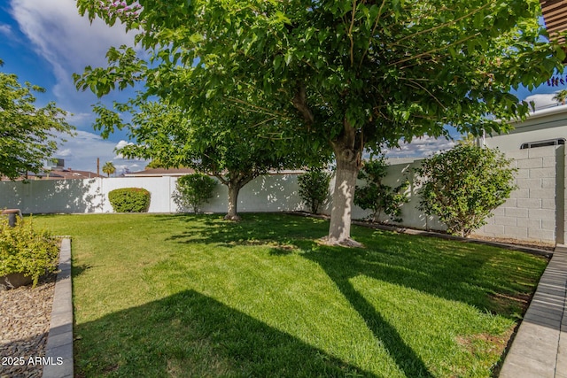 view of yard featuring a fenced backyard