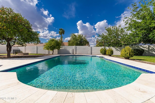 view of pool with a fenced backyard and a fenced in pool