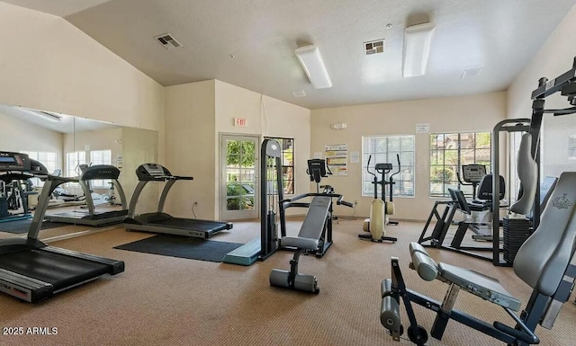 workout area featuring lofted ceiling