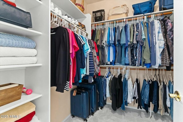 walk in closet featuring carpet floors