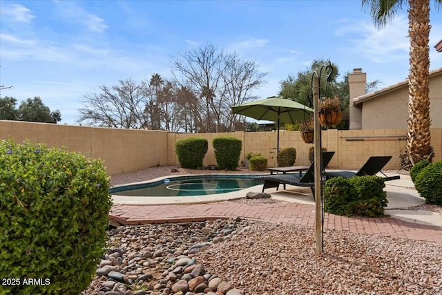 view of swimming pool with a patio