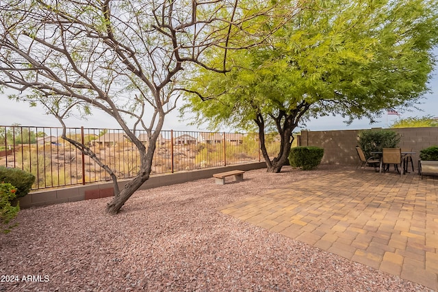 view of yard featuring a patio