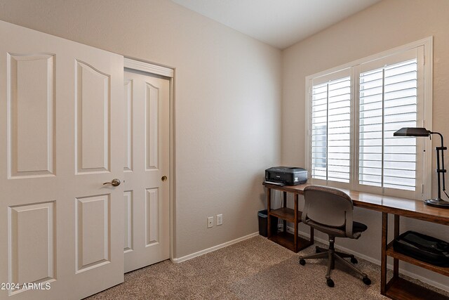 office space featuring carpet floors