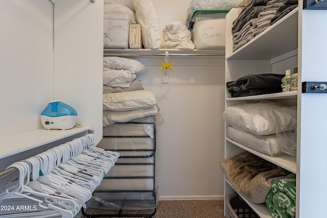 walk in closet featuring carpet floors