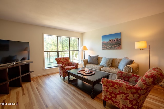 living room featuring light hardwood / wood-style flooring