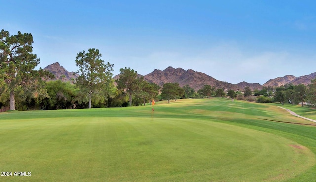 view of property's community with a mountain view and a yard