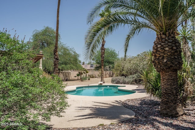 6101 E Beck Ln, Scottsdale, AZ 85254 - view of pool with a patio area and a diving board