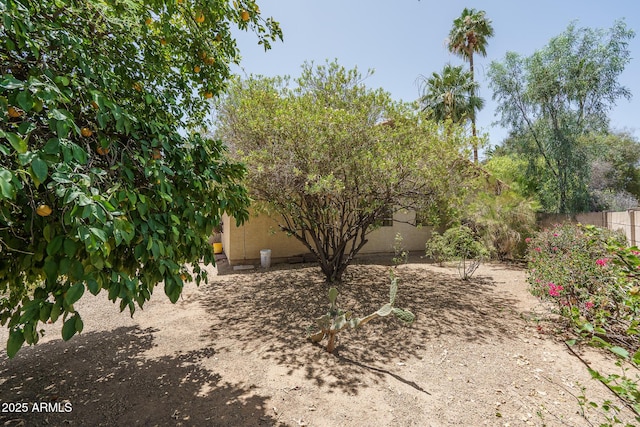 6101 E Beck Ln, Scottsdale, AZ 85254 - view of yard