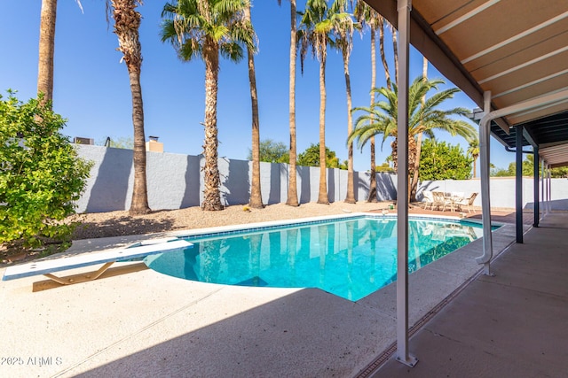 view of swimming pool with a diving board and a patio area