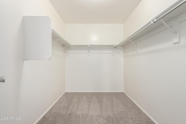 walk in closet featuring carpet