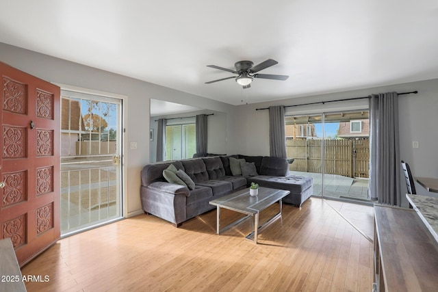 living room featuring ceiling fan, plenty of natural light, and light wood-type flooring