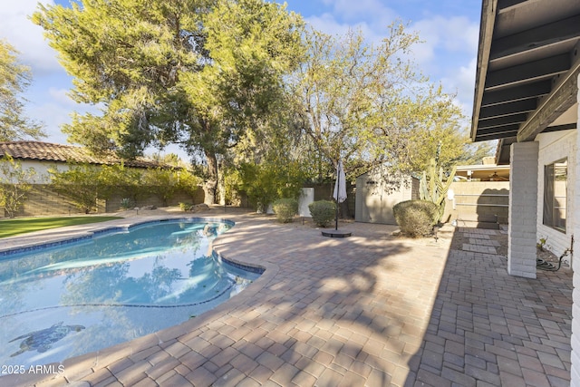 view of swimming pool featuring a patio