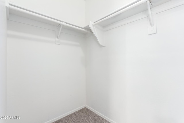 spacious closet with carpet flooring