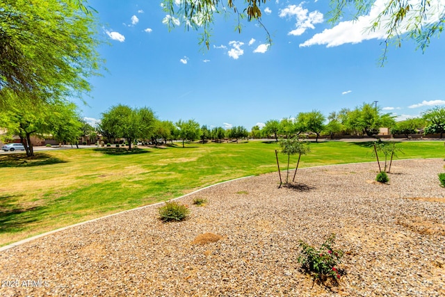 4495 E Woodside Way, Gilbert, AZ 85297 - surrounding community featuring a yard