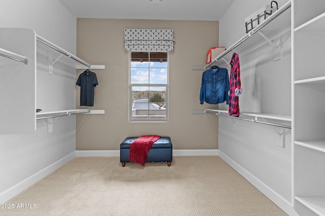 spacious closet with carpet