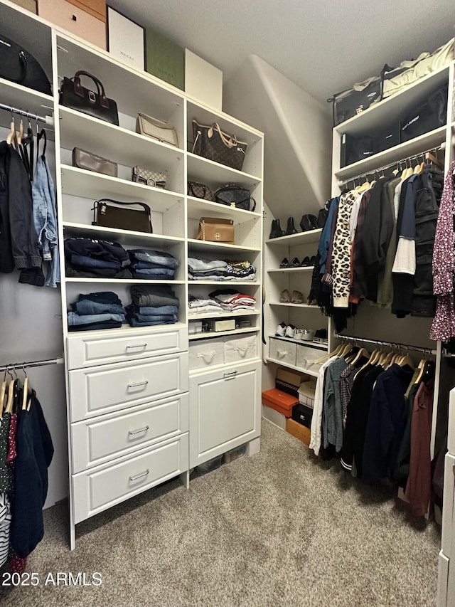 walk in closet featuring carpet floors