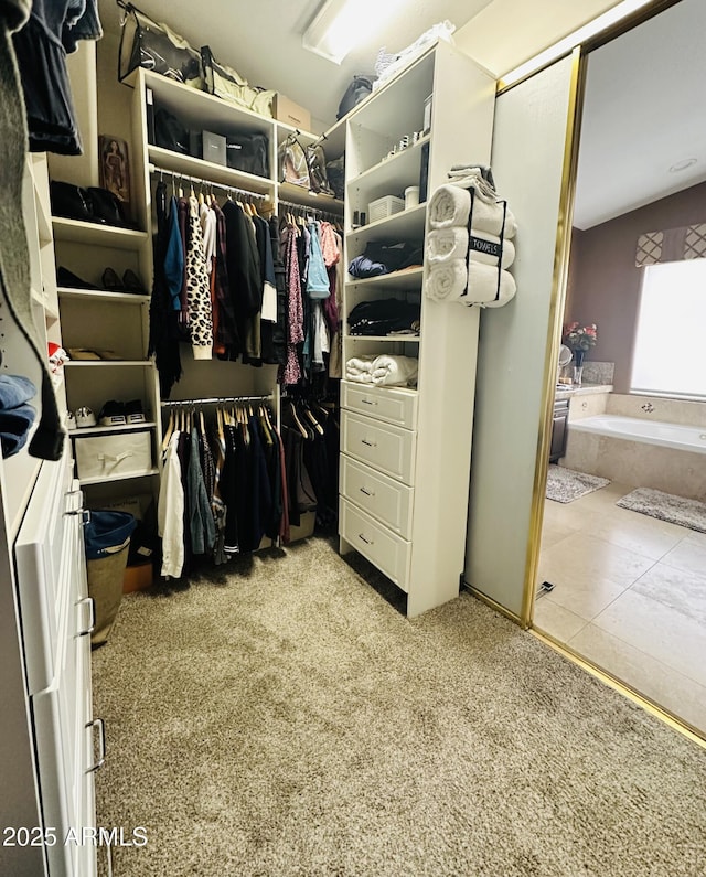 walk in closet with light colored carpet