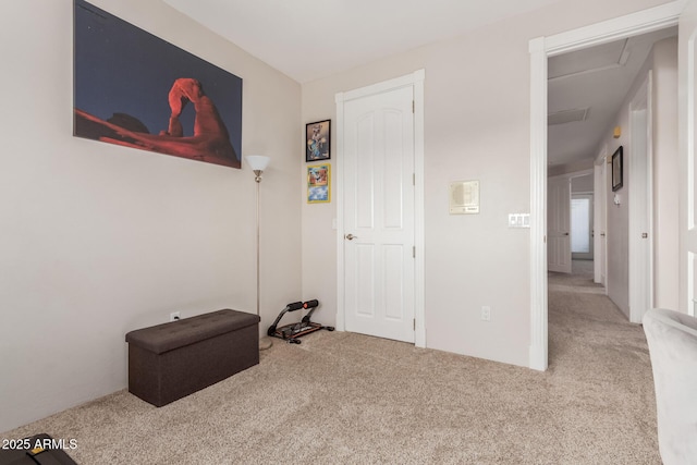 bedroom featuring carpet