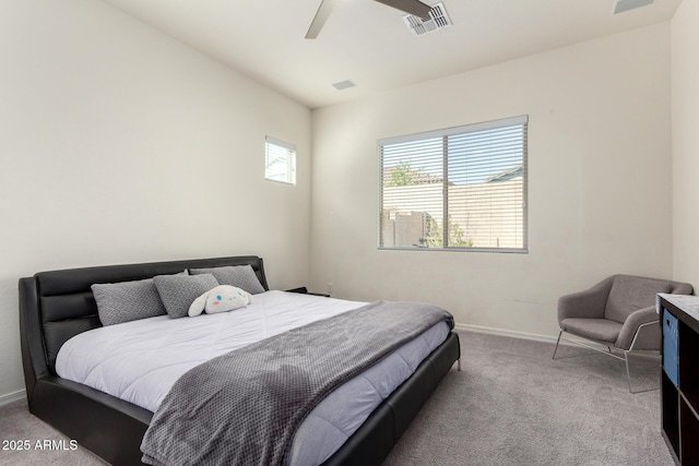 20496 W Valley View Dr, Buckeye, AZ 85396 - bedroom with carpet, baseboards, and ceiling fan