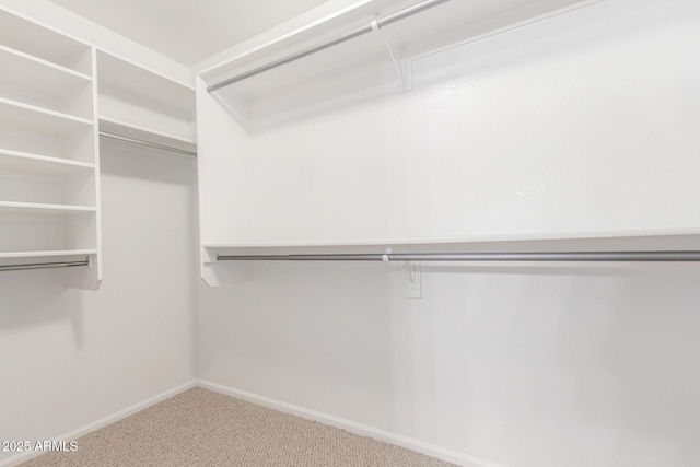 walk in closet with carpet floors