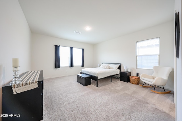 5721 W Coplen Farms Rd, Laveen, AZ 85339 - bedroom with multiple windows, carpet flooring, and baseboards