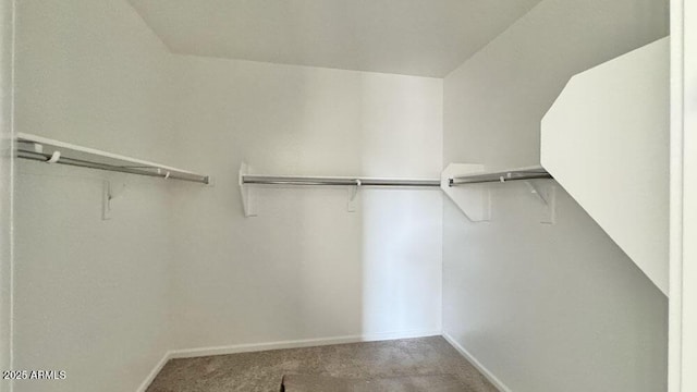 walk in closet featuring carpet floors