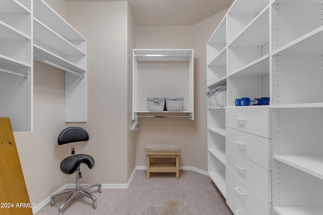 spacious closet with carpet