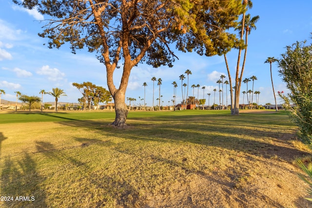 view of home's community featuring a lawn