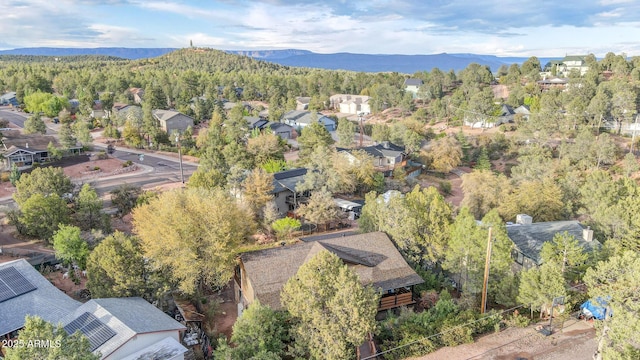 aerial perspective of suburban area with a forest and a mountain backdrop