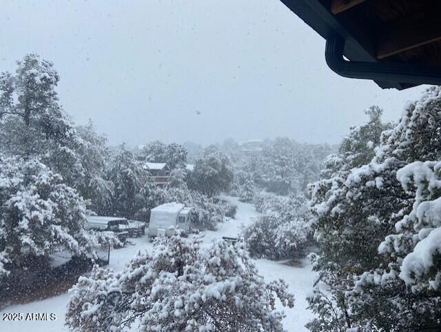 view of snowy yard